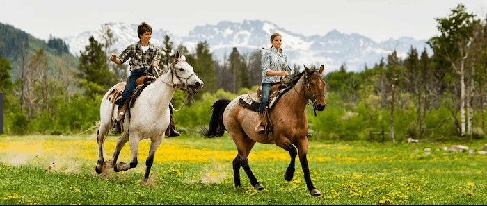 Confident plus-size woman riding Tonbridge a horse through a field with a smile on her face.